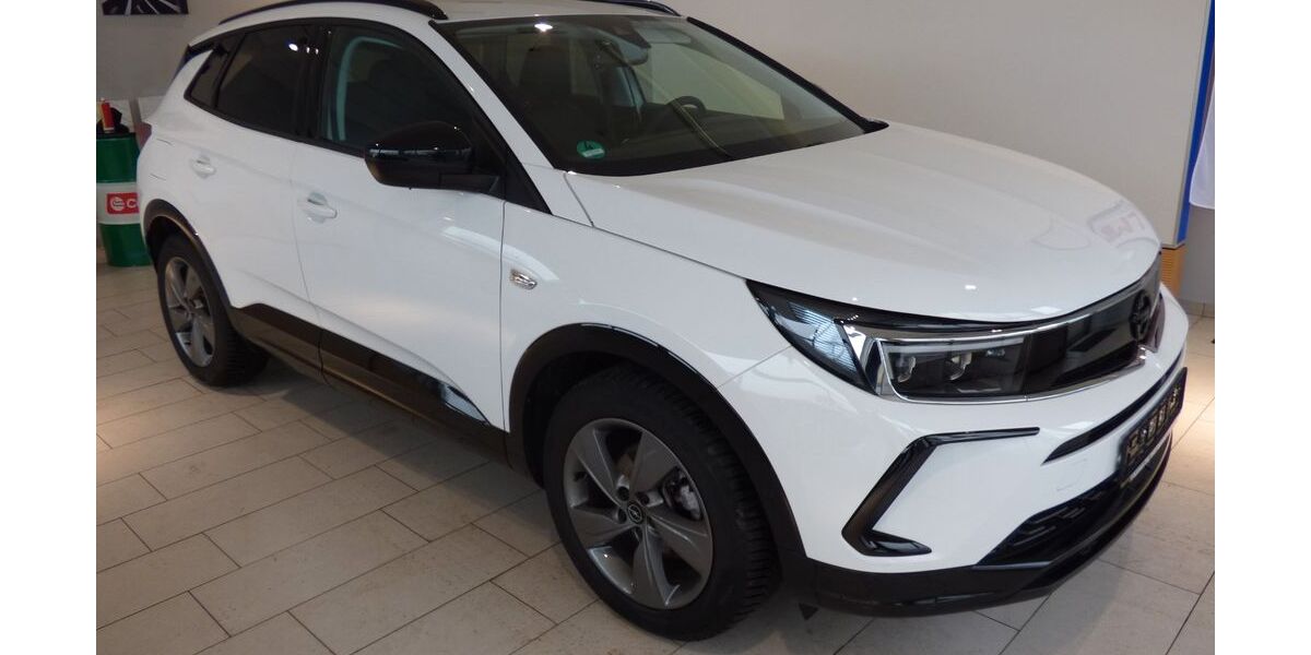 Opel Grandland (X) 19.800 km 23.490 &euro; Ahorntal 95491
