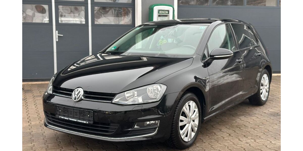 VW Golf 110.000 km 11.990 &euro; Ahorntal 95491