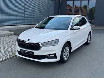 Gebrauchte Skoda Fabia