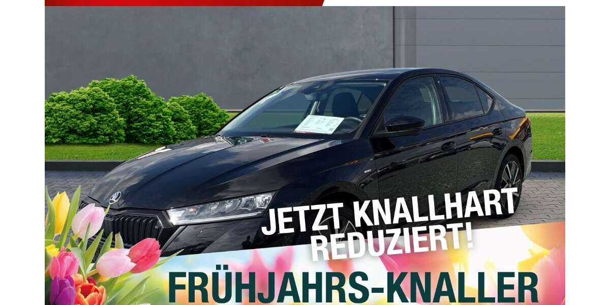 Skoda Octavia 54.459 km 19.990 &euro; Bindlach 95463