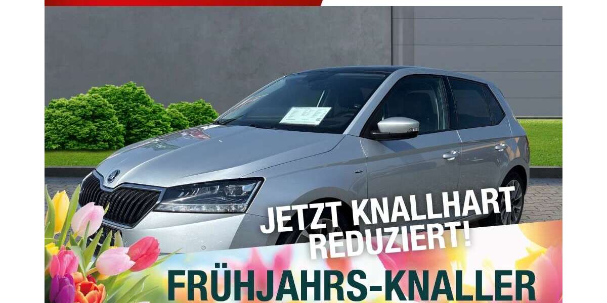 Skoda Fabia 42.560 km 16.990 &euro; Bindlach 95463